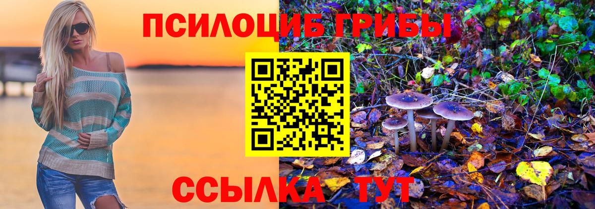 Псилоцибиновые грибы прущие грибы Томск